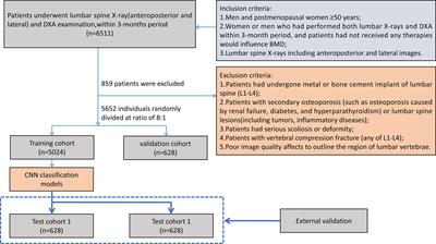 Deep learning for screening primary osteopenia and osteoporosis using spine radiographs and patient clinical covariates in a Chinese population